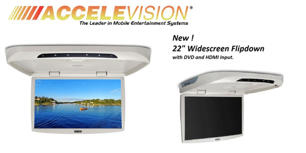Accele 22-inch RSE monitor