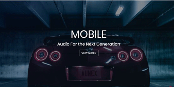 Aunex new car audio company