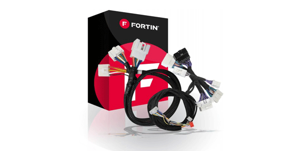 FORTIN_THAR-ONE-TOY9-